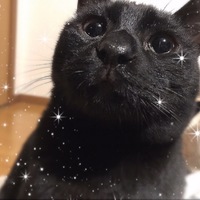 ぎんなん