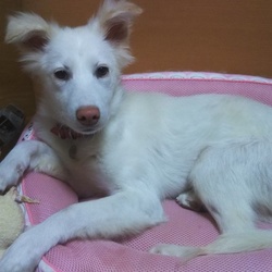 「二ヶ月」サムネイル2