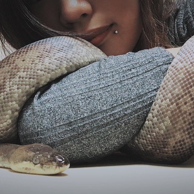 ちくわ。のカバー写真