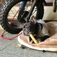 濱口優(まさる)