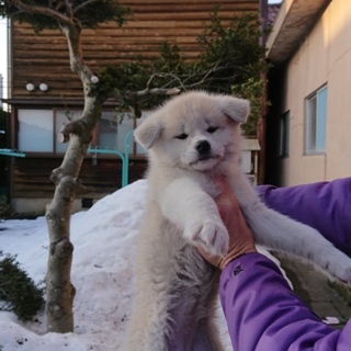 里親さま募集します！