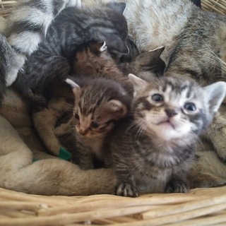 3/28生まれの兄弟。