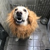らつちゃん