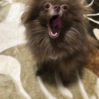 愛夢