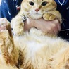 の写真