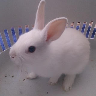 3月13日産まれ元気です