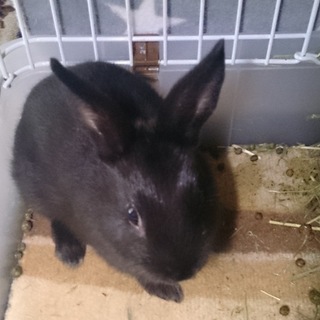 3月13日産まれ元気です