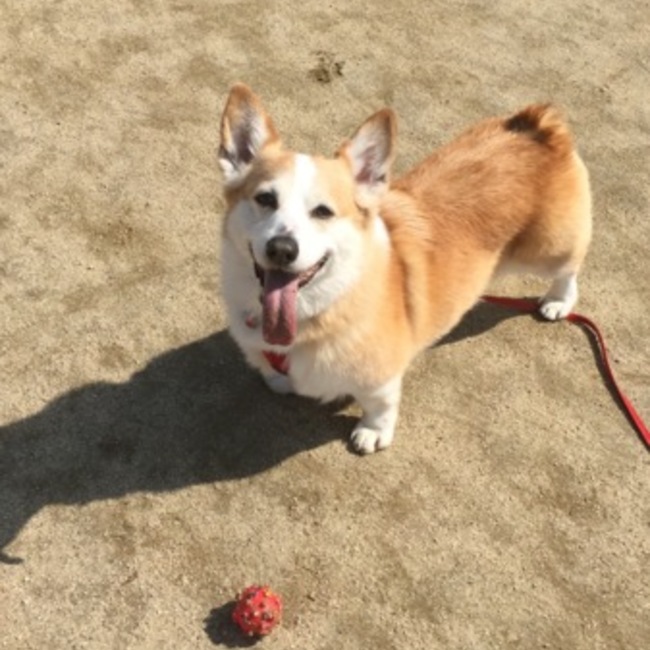 mwyのカバー写真