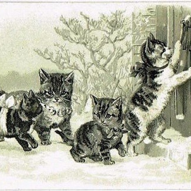 kaji_29のカバー写真