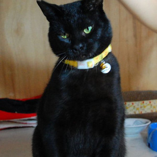 まだ若いよ！リクローくん。