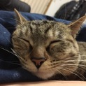 探してます！