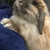ふーこ0303