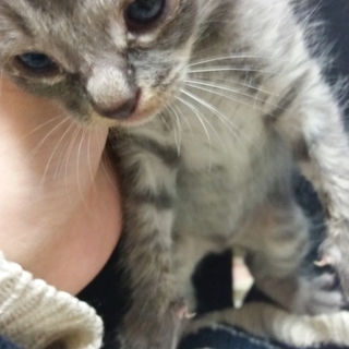 寂しがりやの男の子です♡