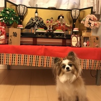 ミルキー