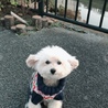 jusママ