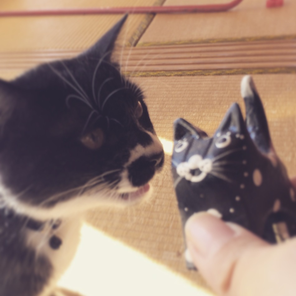 ジェイクのカバー写真
