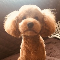まっちゃ
