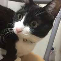 メイ