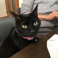 ララ
