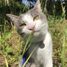 これ何だろう？
