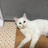 の写真