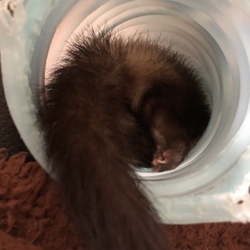 「悩み改善&頭も出してお尻も出して。。」サムネイル2