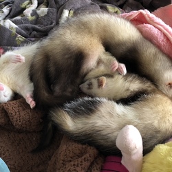 「悩み改善&頭も出してお尻も出して。。」サムネイル3