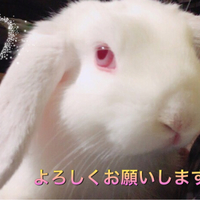 マリア(ちび子)