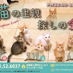 「猫の里親探しの会」5月19日(土)