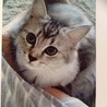 生後6か月の頃(^^)