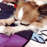 れおん