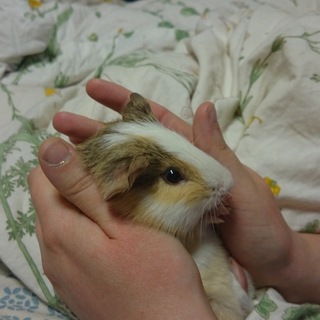 沢山のご応募どうもありがとうございました