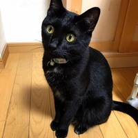 みー