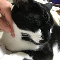 ダイちゃん