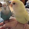 仲良しみたいだけど、君達♂じゃなかろうか(p_-)？