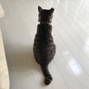  さん
