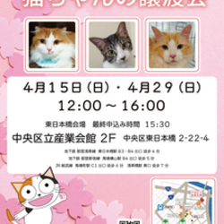 ねこざんまい譲渡会@東日本橋
