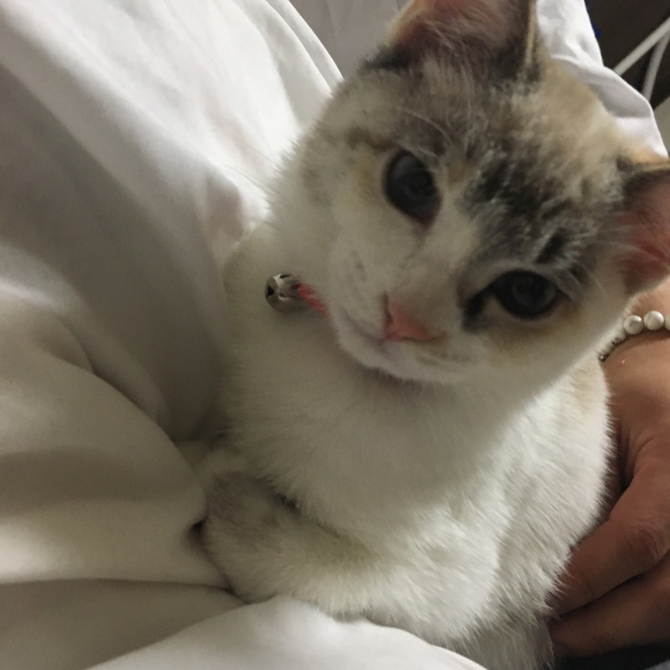 エルのカバー写真