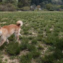 遼太郎君改め涼（りょう）君を迎えました。