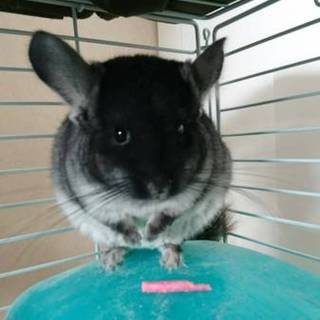 募集終了させていただきます^^