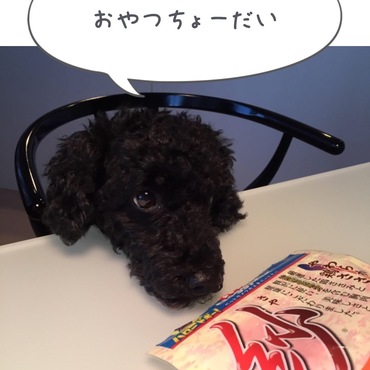 もっさんぬの写真