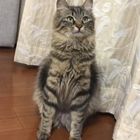 ミアちゃん