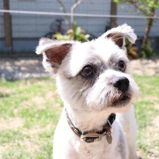 ふんわり♡ 性格◎イケメン芽々君