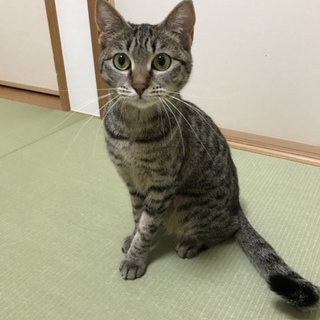 きじ美ちゃん
