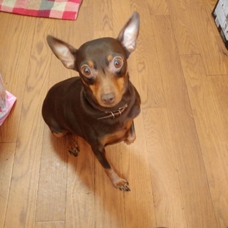 よろしくお願いいたします。