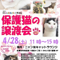 【札幌市】保護猫の譲渡会