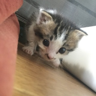 ご応募下さった皆様に感謝いたします。