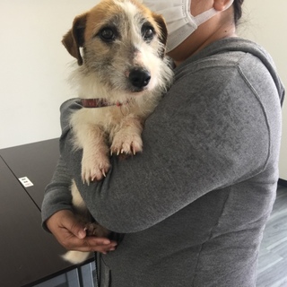 元気なキキちゃん  有り難うございました‼︎