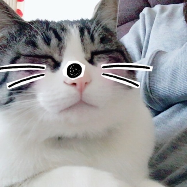 きらららのカバー写真