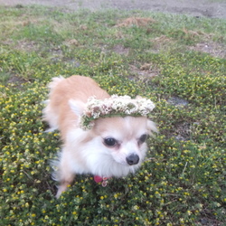 ぽかぽか春うらら～